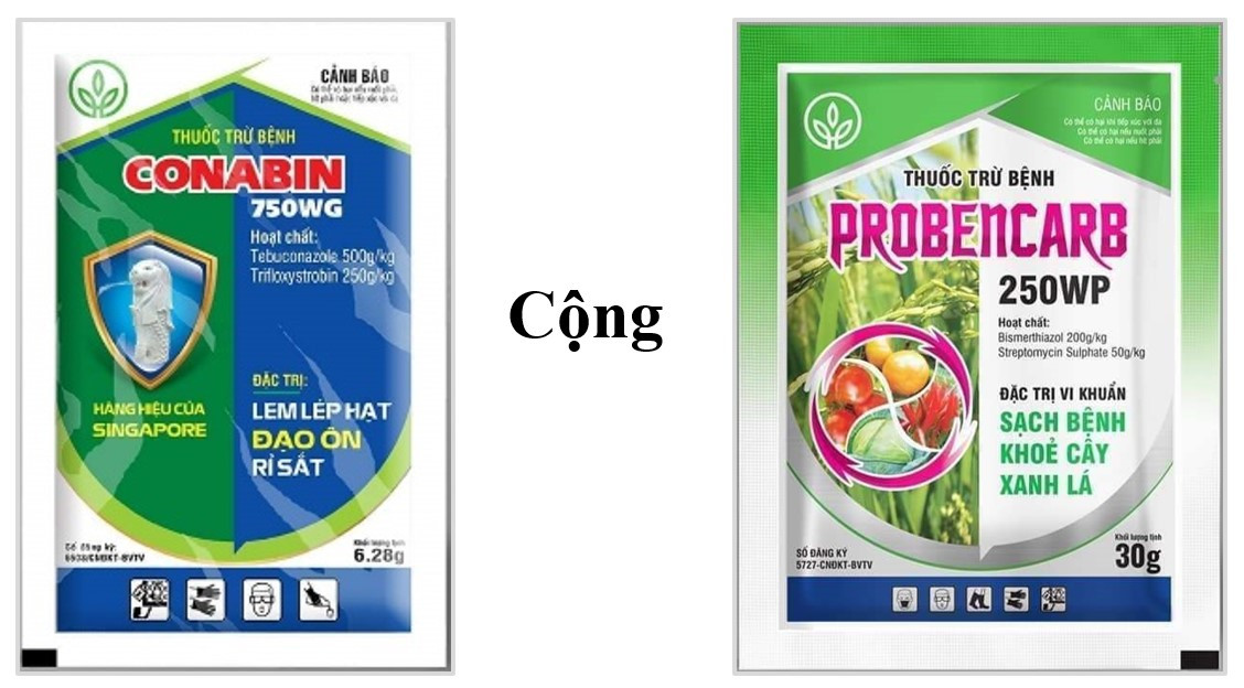 Giải pháp Profesfar trong vụ lúa Hè Thu (phòng trừ Lem lép hạt và các bệnh do vi khuẩn)