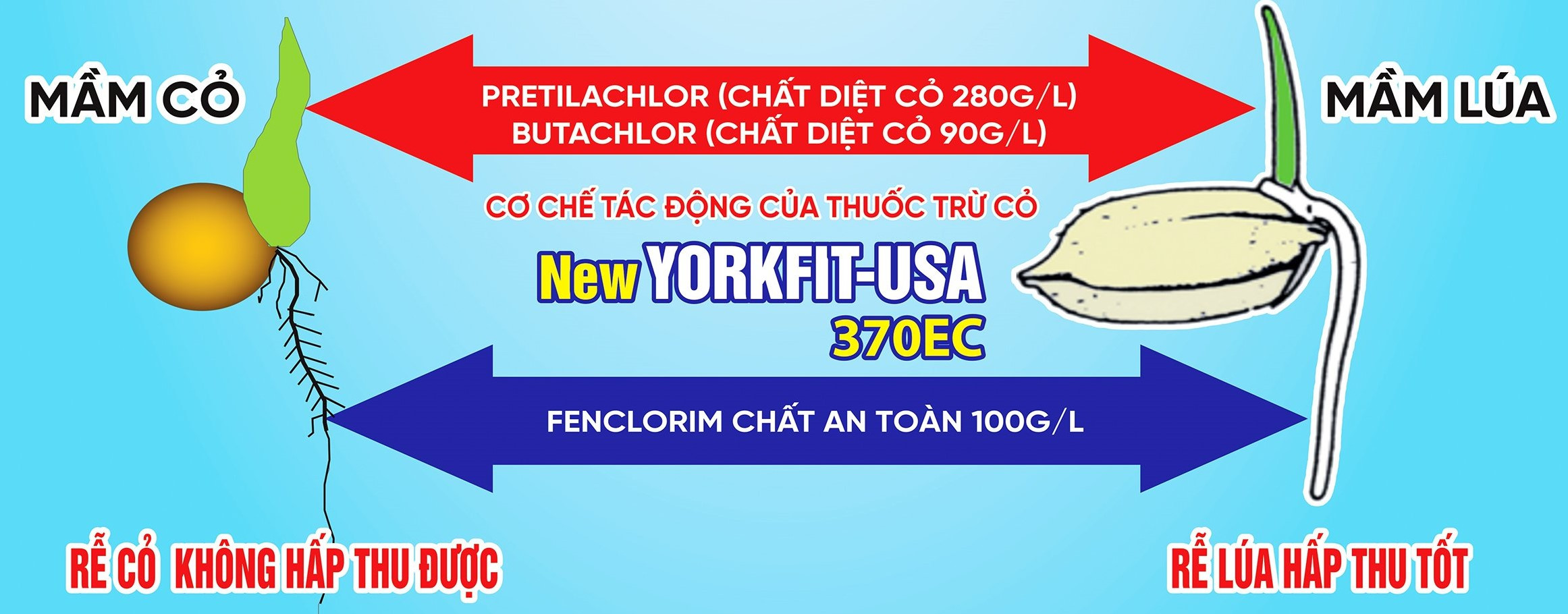 Cơ chế hoạt động của các chất diệt cỏ và chất an toàn trong NewYORKFIT-USA 370EC