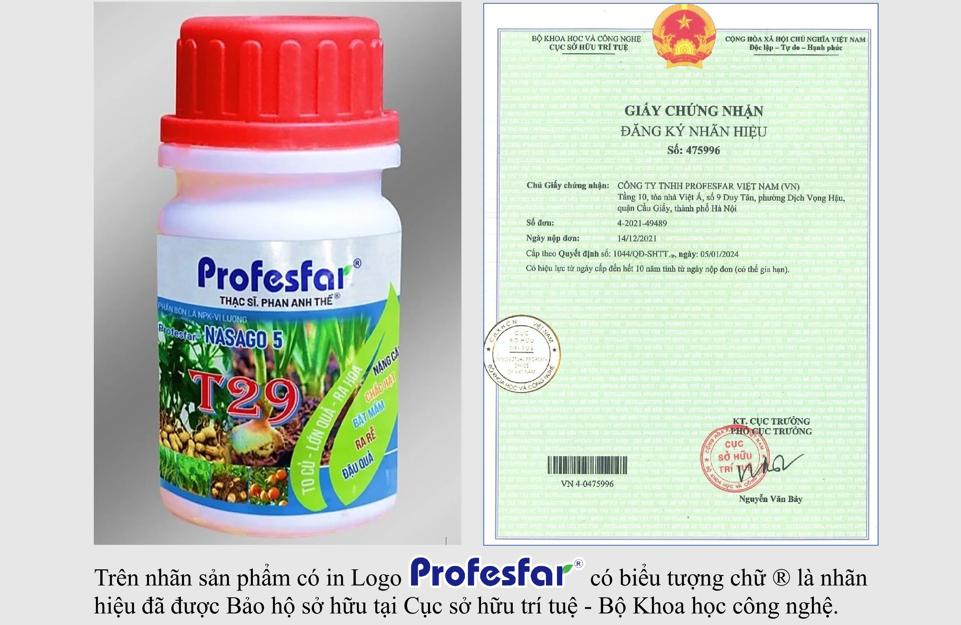 profesfar viet nam-1