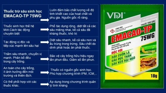 Thuốc đặc trị Sâu cuốn lá nhỏ EMCAO-TP 75WG