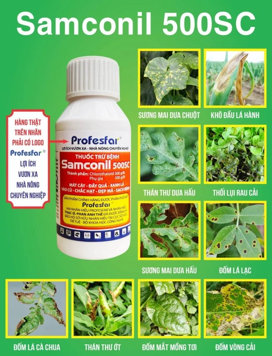 Thuốc phòng trừ bệnh sương mai khoai tây