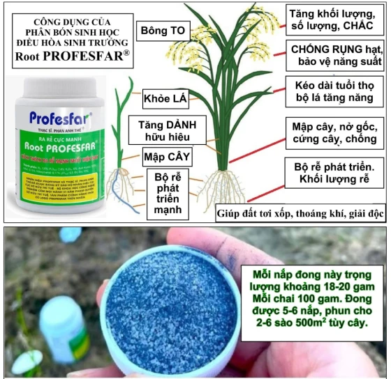 Mỗi nắp đong Root PROFESFAR pha cho 1 xô 18-20 lít tưới gốc hoặc 1 bình phun 18-25 phun qua lá